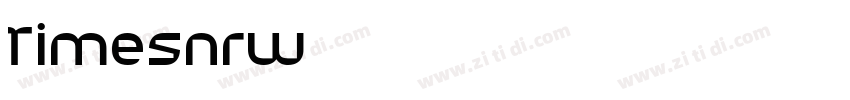TimesNRW01 字体转换